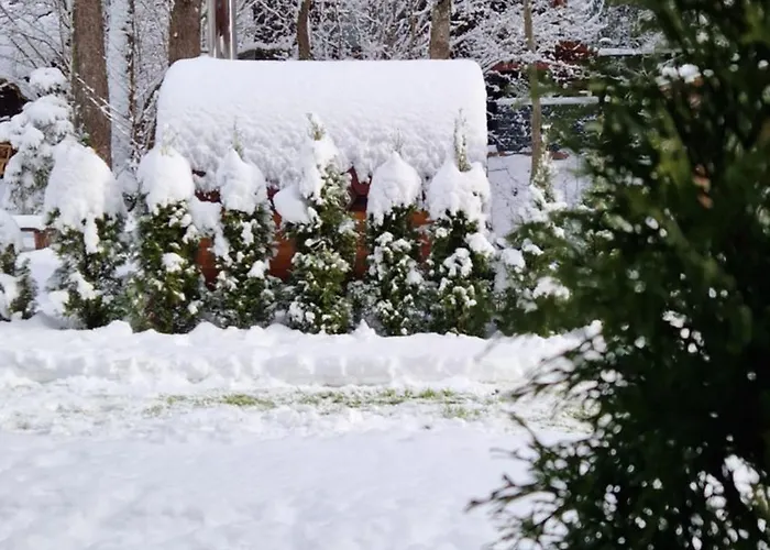 Resort A Kuria Na Taloch, - Chopok Juh